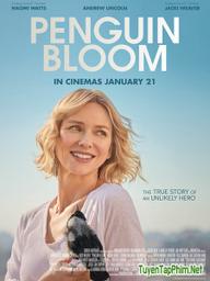 Cánh Cụt nhà Bloom - Penguin Bloom (2021)