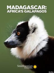 Madagascar: Africa's Galapagos - Madagascar: Africa's Galapagos (2019)