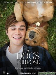 Mục đích sống của một chú chó - A Dog's Purpose (2017)